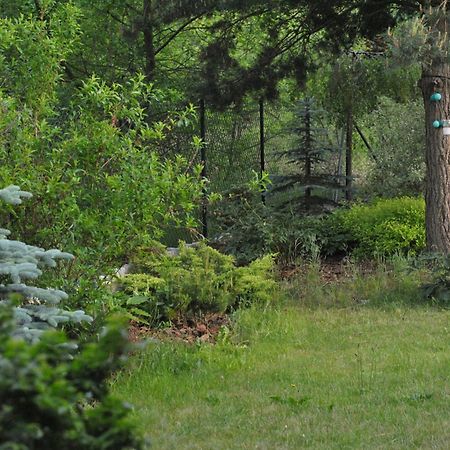 Apartament Wita Niemcz Екстер'єр фото